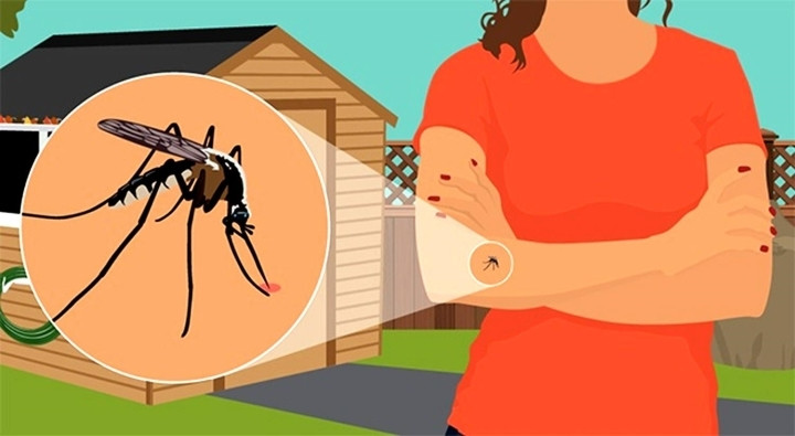 9 mẹo tránh muỗi đốt đơn giản và hiệu quả - 1