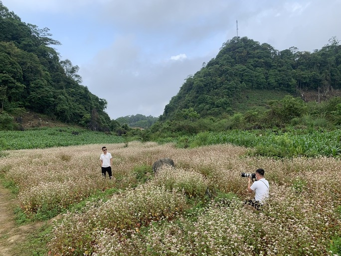 Ngỡ ngàng ngắm hoa tam giác mạch trái mùa ở Hà Giang - Ảnh 9.
